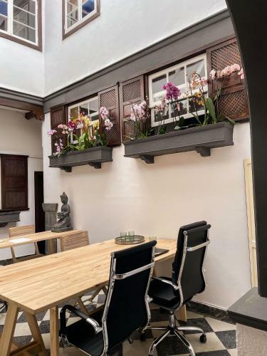 Hostal Gato Azul - Coliving Coworking