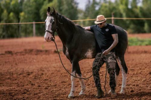Kings Farm Horse Riding School