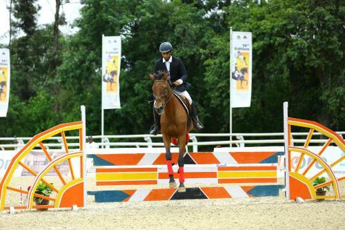 Kings Farm Horse Riding School