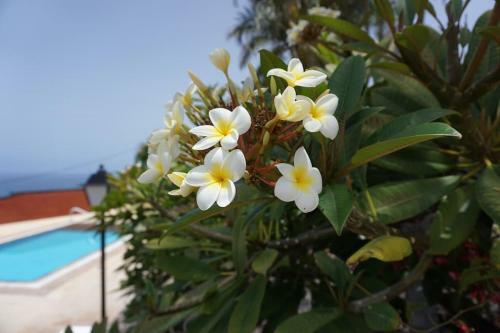 Apartamento Finca La Romera