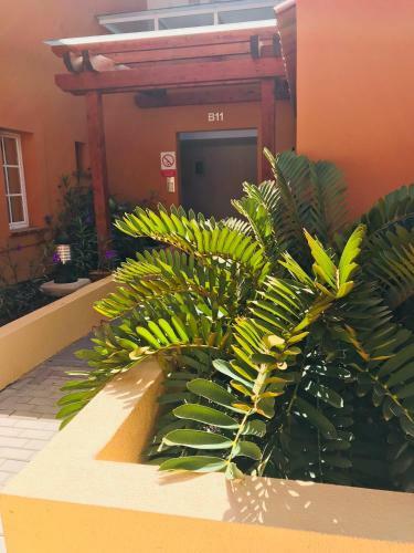 Apartamento La Casa Canaria