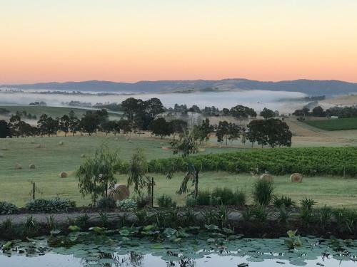 Bed & Breakfast Outlook Hill Vineyard Cottages & Suites