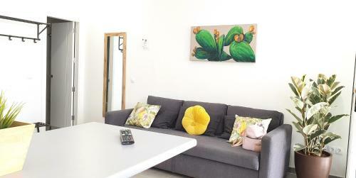 Hd Mog�n Coral Apartments