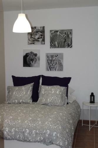 Apartamento Loft Pinope