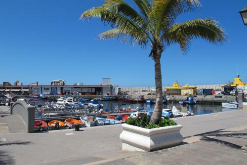 Front Line Marina Apartment With Roofterrace