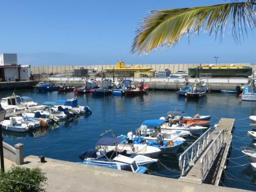 Marina Apartment With Roofterrace