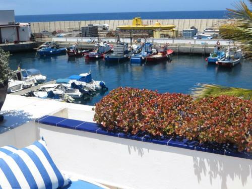 Marina Apartment With Roofterrace
