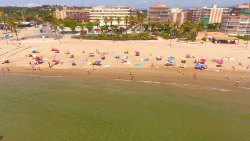 Apartment 13199, Next To The Beach In The Sun, Building Dms-2