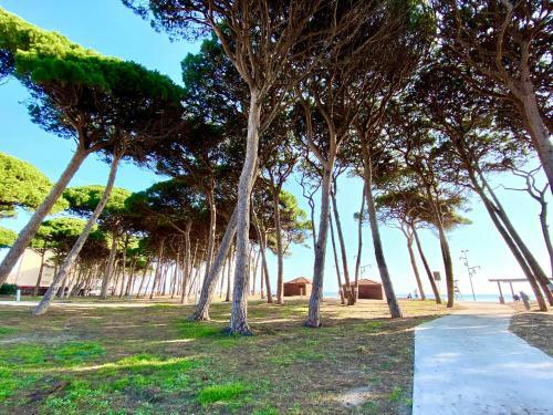 Apartamento En La Pineda Cerca De La Playa