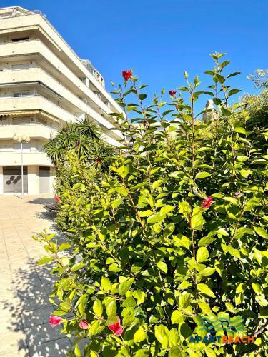Apartbeach Paradis Park Vistas Playa