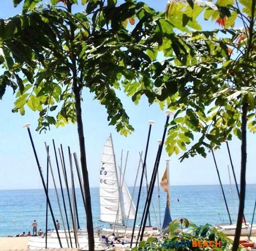 Apartbeach Paradis Park 535 Junto Playa Y Climatizado