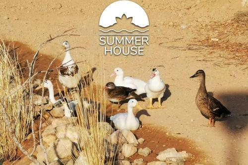 Summer House Tgn Rural