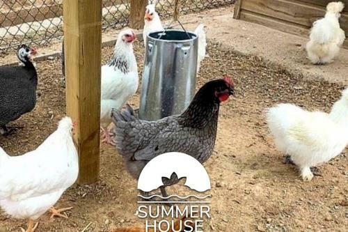 Summer House Tgn Rural