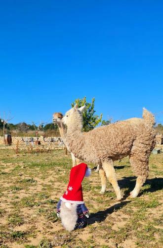 Summer House Tgn Rural