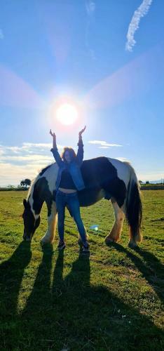 Summer House Tgn Rural