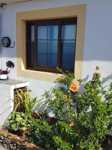 Apartamento El Quinto Pino - El Estudio
