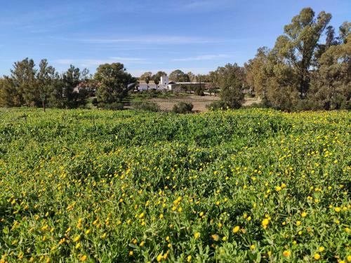 Bed & Breakfast Finca Las Rosas de Santa Ana