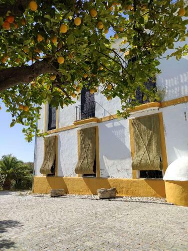 Bed & Breakfast Finca Las Rosas de Santa Ana