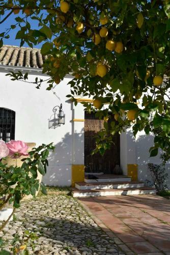 Bed & Breakfast Finca Las Rosas de Santa Ana