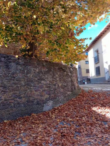 Apartamento Fio De Neu