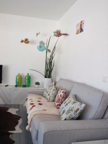 Casa David