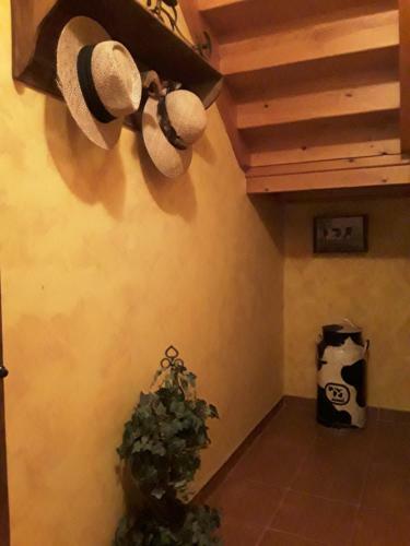 Apartamento La Fragua De La Vega Estudios