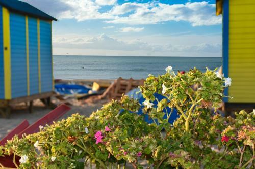 Chalet Adosado En Islantilla - Costa de La Luz