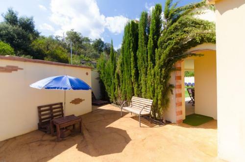 Club Villamar - Guzmania