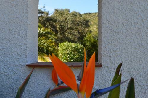 Apartamento Casa Jiby