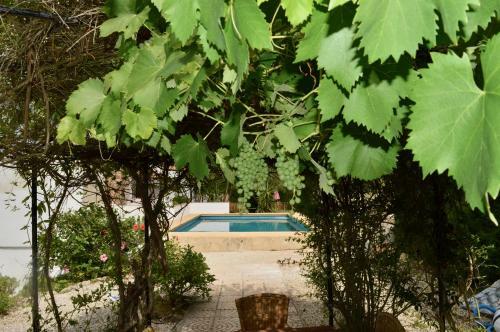 Apartamento Casa Jiby
