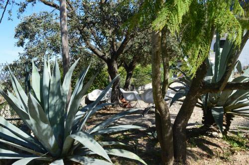 Apartamento Casa Jiby