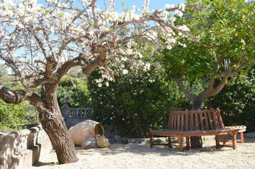 Apartamento Casa Jiby