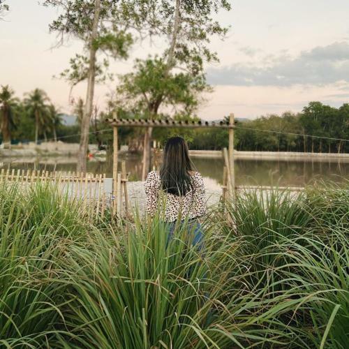 Baibai At Thaimuang Farmstay