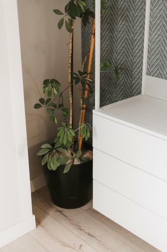 Apartamentos Mk77 Le�n - Cantareros