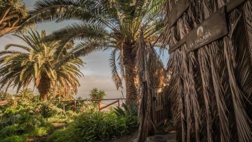 Studio Mazo The Glamping
