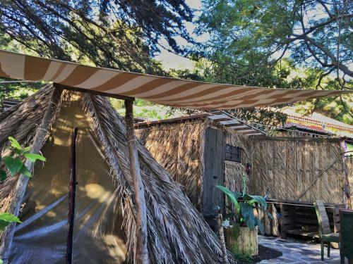 Studio Mazo The Glamping