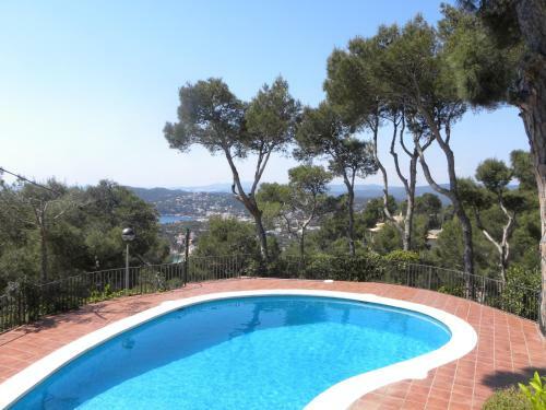 Apartamento Brasil Street