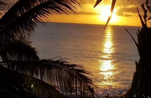 Orrie's Beach Bar And Hotel