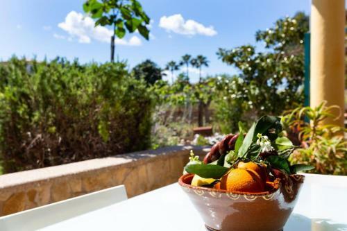 Llub�, Beautiful House With Pool Surrounded By Nature