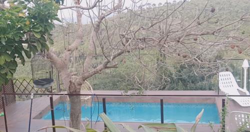 Hostal Panoramic View
