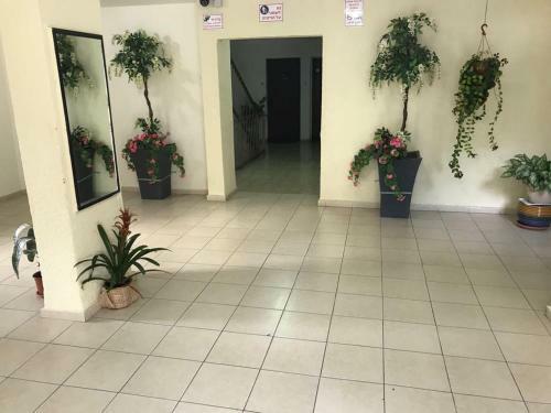 Sunny Retreat Apartment By German Colony