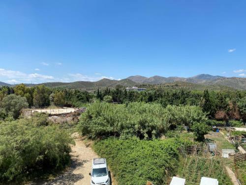 Apartment Ginesta