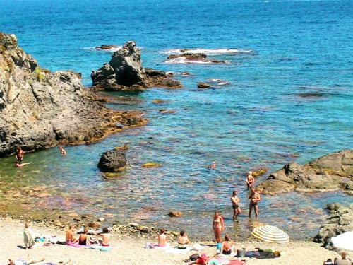 Apartamento 1er Carboneres Aptscostabrava