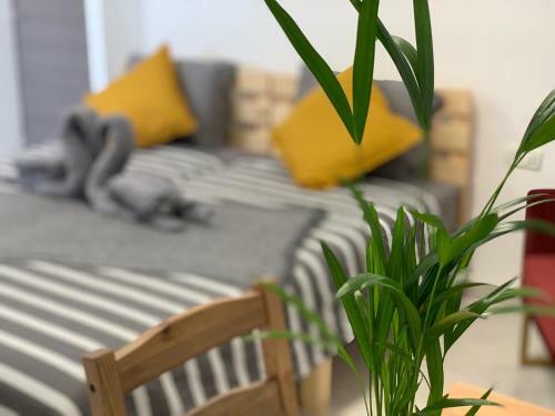 Apartamento Maya New Guest House -panoramic Sea&citycentre View, Haifa