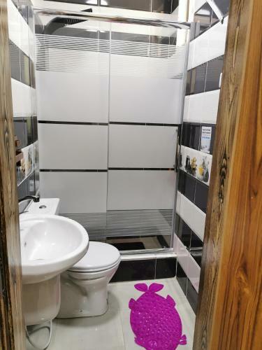 Apartamento Petra 555