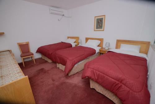 Petra Lion Hotel