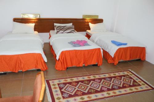 Ameer Apartment