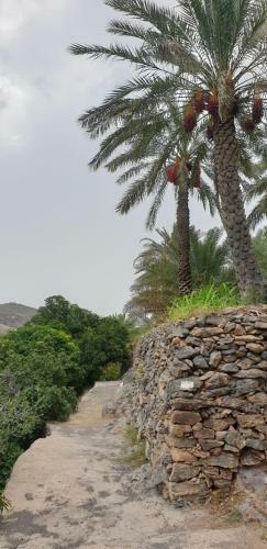 Misfah Heights