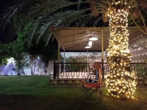 Apartamento Juman B&B