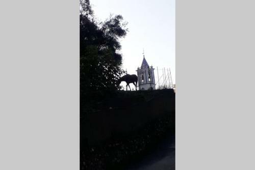 Espaciosa Y Elegante Casa Rural En Los Marines